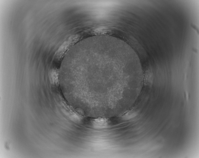 X0000103950335200810031351