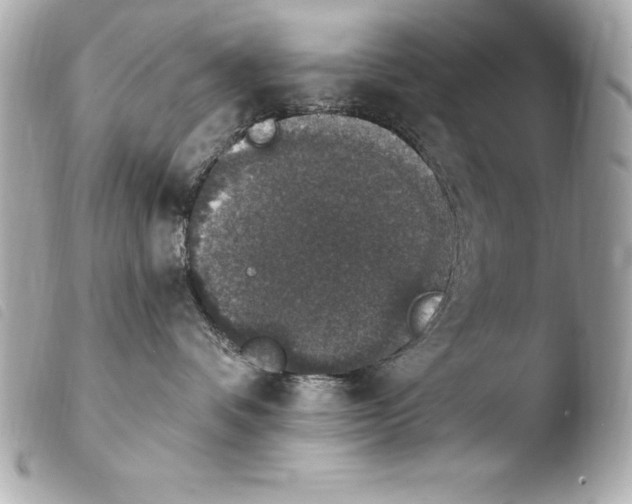 X0000103950336200810031351