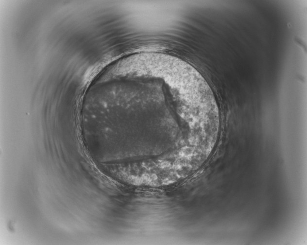 X0000103950337200810031351