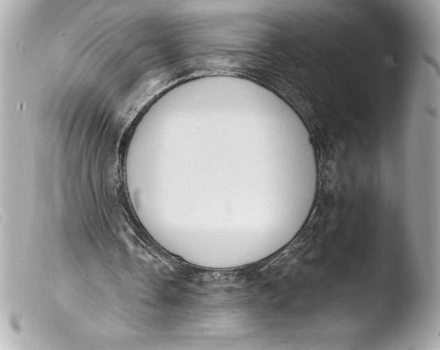 X0000103950338200810031351