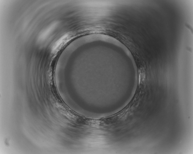 X0000103950339200810031351