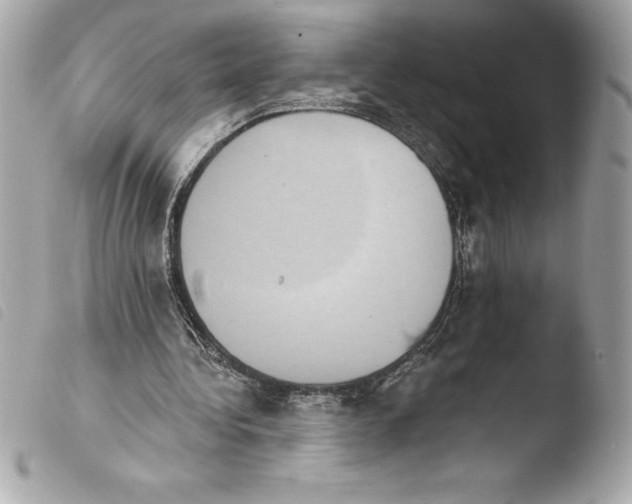 X0000103950340200810031351