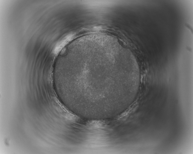 X0000103950341200810031351