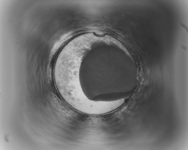 X0000103950343200810031351