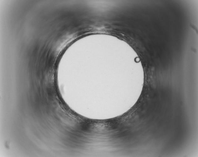 X0000103950344200810031351