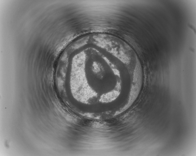 X0000103950346200810031351