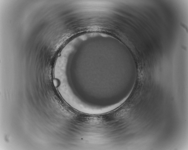 X0000103950347200810031351