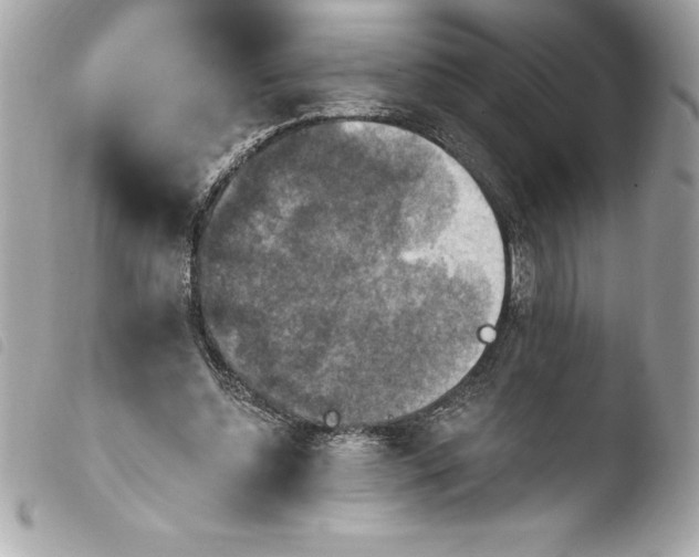 X0000103950348200810031351