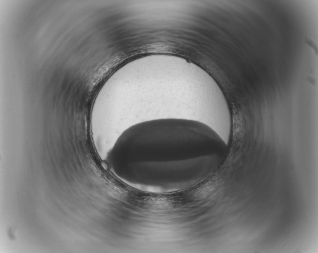 X0000103950349200810031351