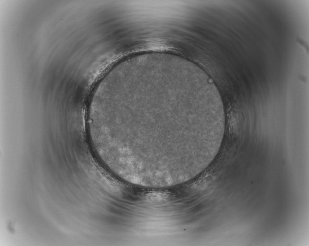 X0000103950350200810031351