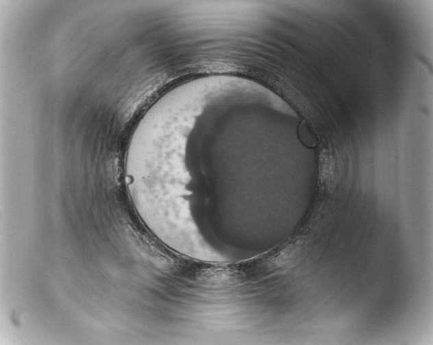 X0000103950351200810031351