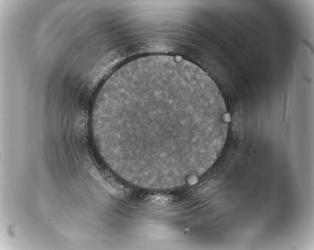 X0000103950352200810031351