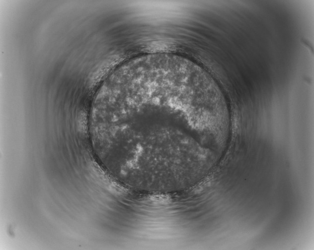 X0000103950353200810031351