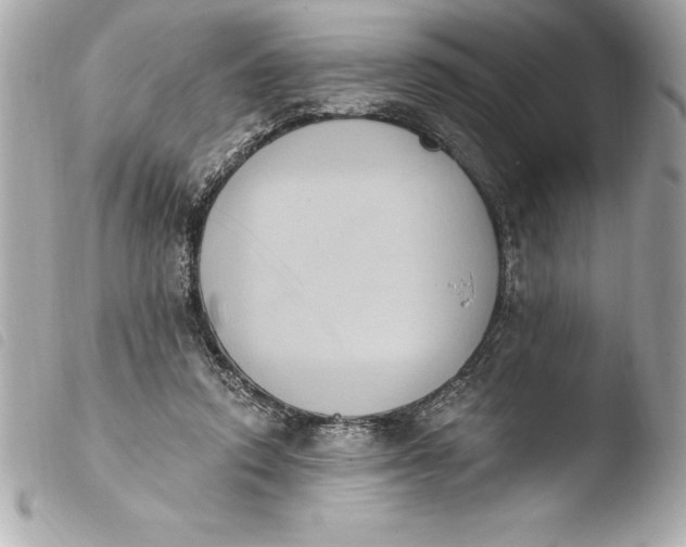 X0000103950354200810031351