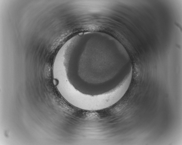 X0000103950355200810031351