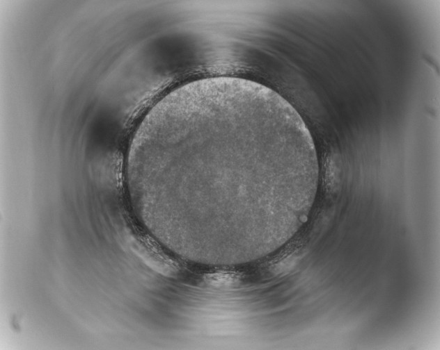 X0000103950356200810031351