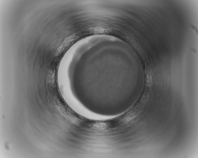 X0000103950357200810031351