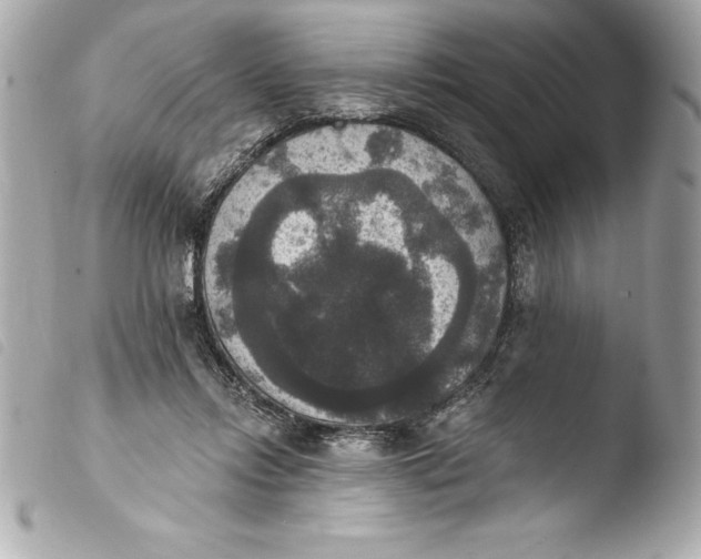 X0000103950358200810031351