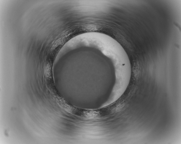 X0000103950359200810031351