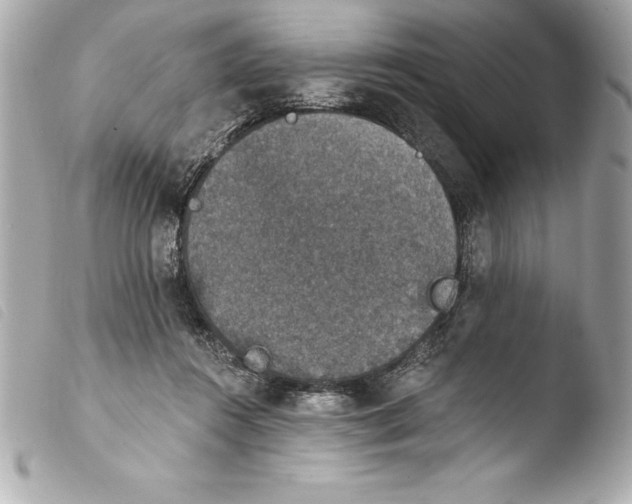 X0000103950360200810031351