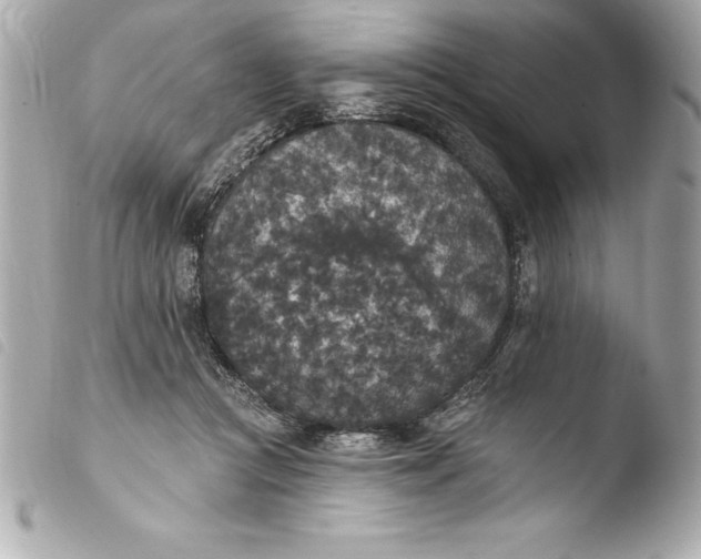 X0000103950361200810031351