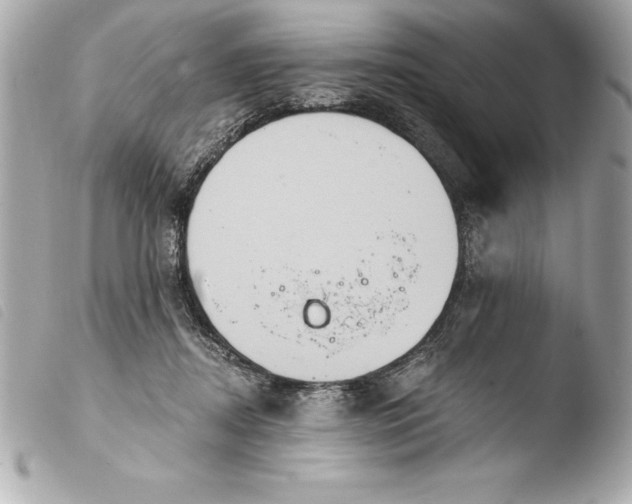 X0000103950362200810031351