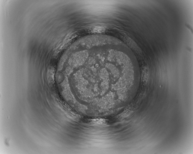 X0000103950363200810031351