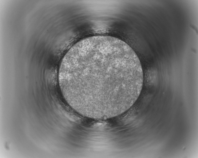 X0000103950364200810031351