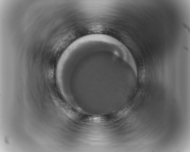 X0000103950365200810031351