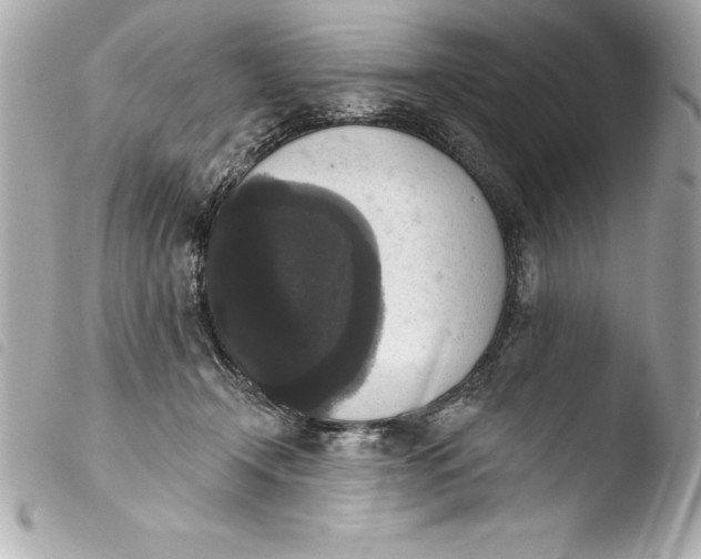 X0000103950366200810031351