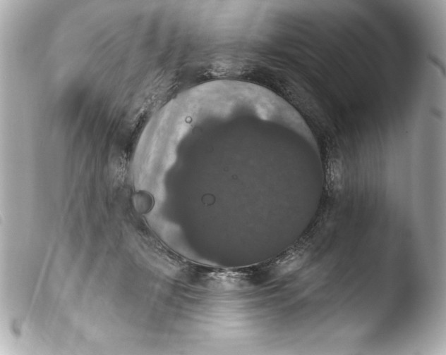 X0000103950367200810031351