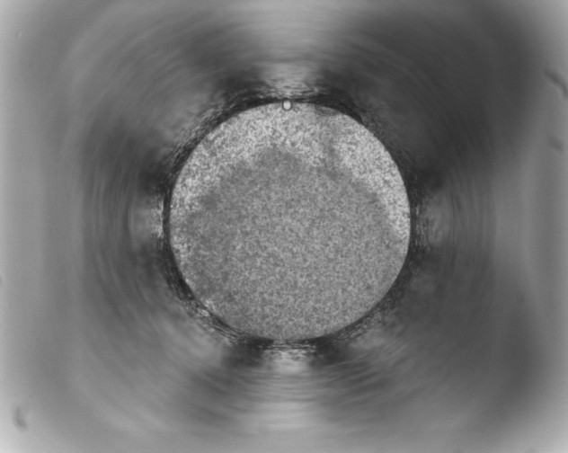 X0000103950368200810031351