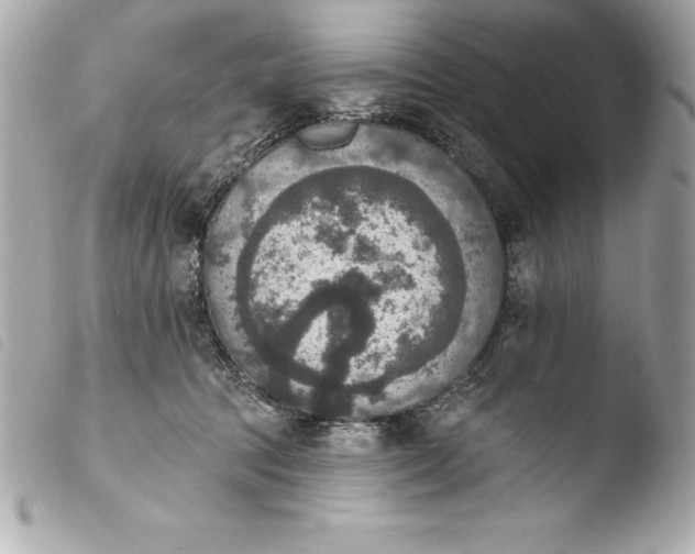 X0000103950369200810031351