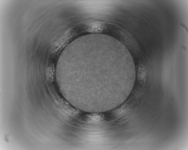 X0000103950370200810031351