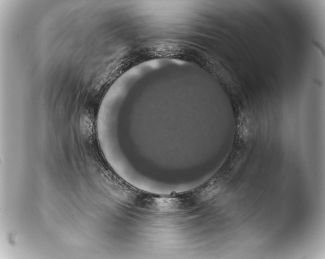 X0000103950371200810031351