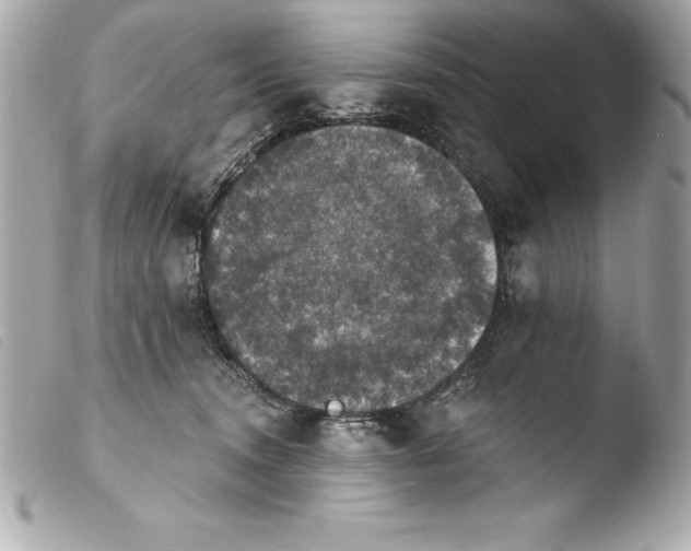 X0000103950372200810031351