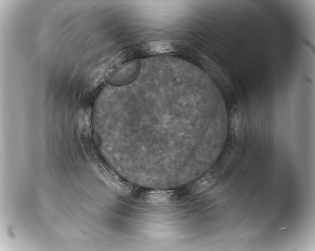 X0000103950373200810031351