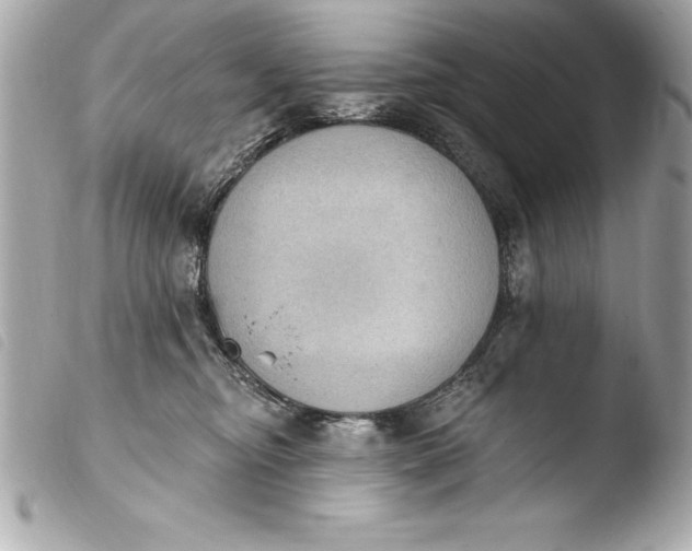 X0000103950374200810031351