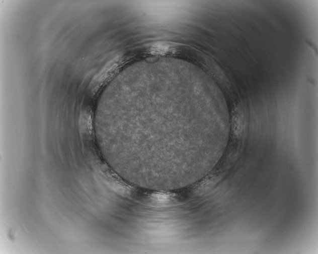 X0000103950375200810031351