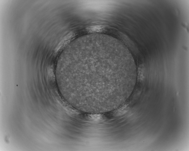 X0000103950377200810031351