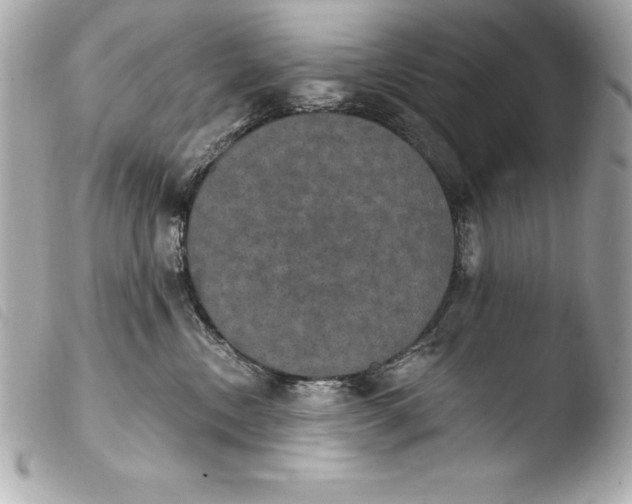 X0000103950378200810031351