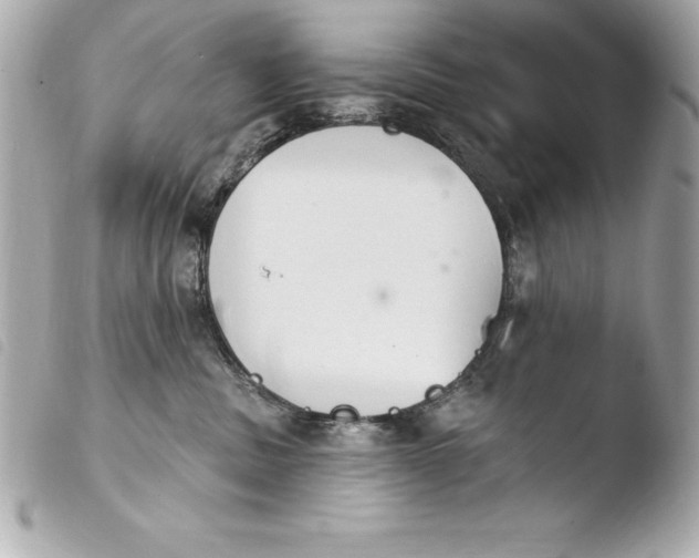 X0000103950379200810031351