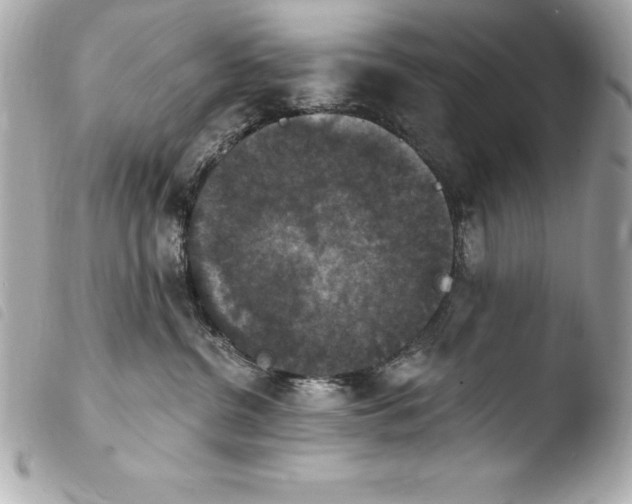 X0000103950380200810031351