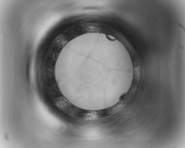 X0000103950381200810031351