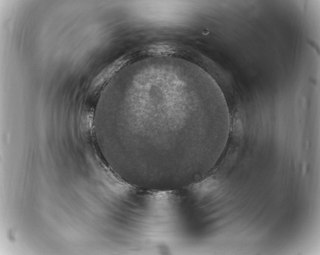 X0000103950382200810031351