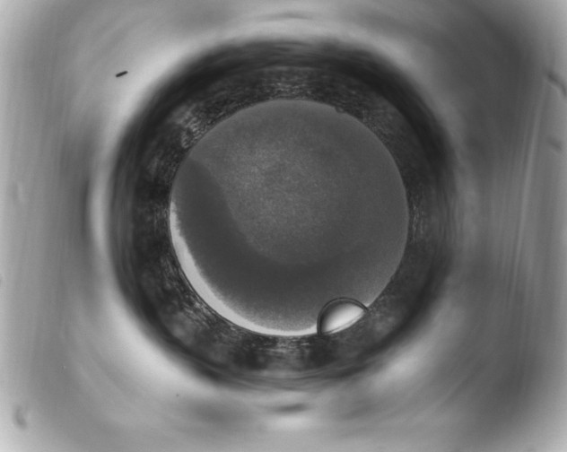 X0000103950383200810031351