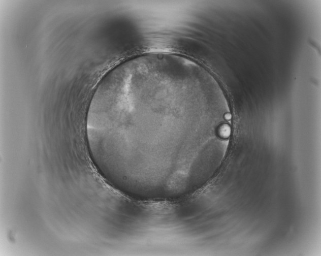 X0000103950385200810031351