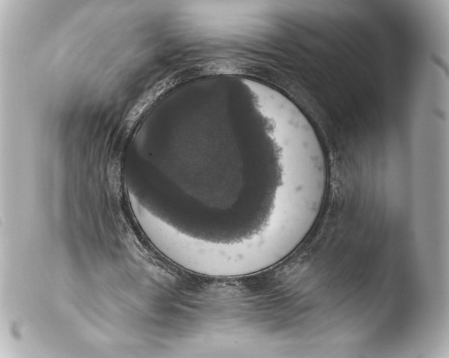 X0000103950386200810031351