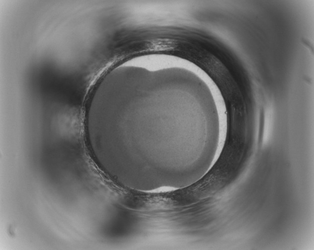 X0000103950387200810031351