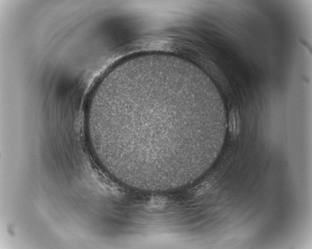 X0000103950388200810031351